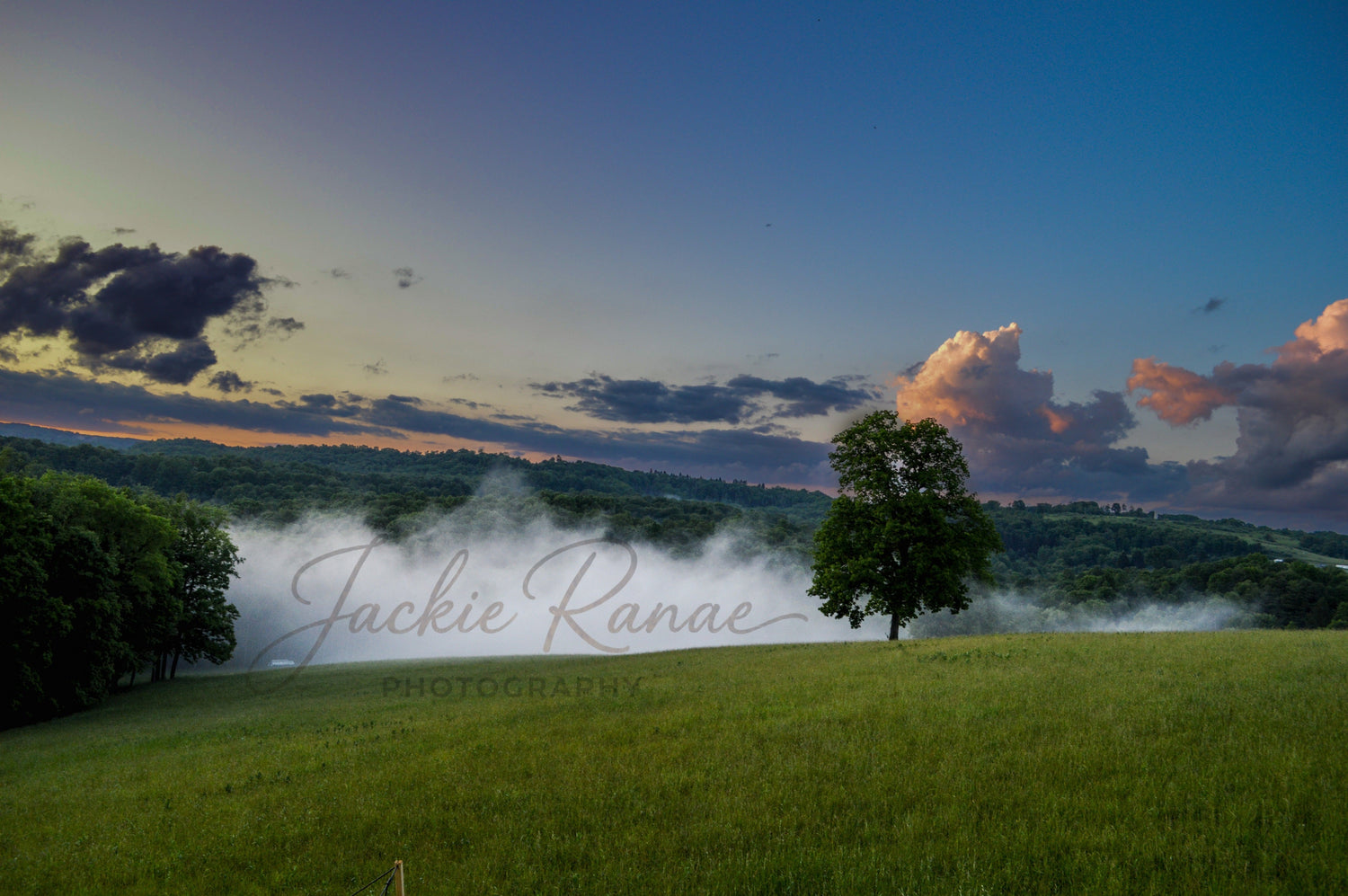 Misty Field