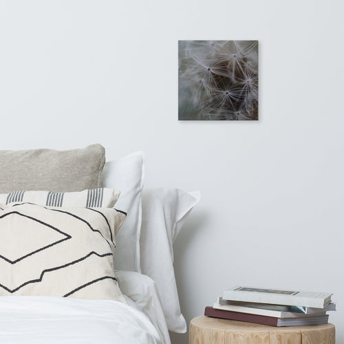 Canvas - Jackie Ranae Photography