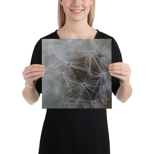 Canvas - Jackie Ranae Photography