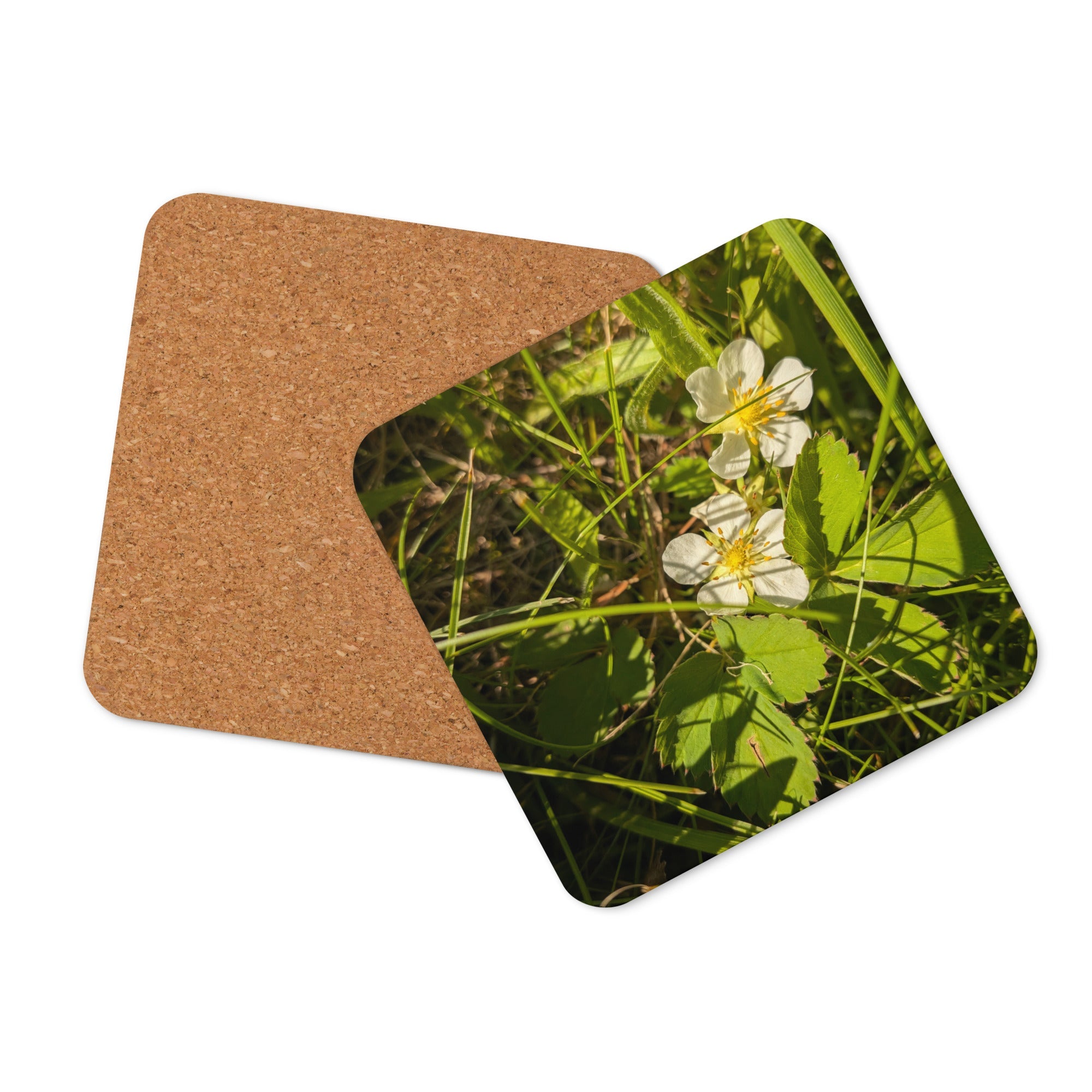 Cork-back coaster - Jackie Ranae Photography