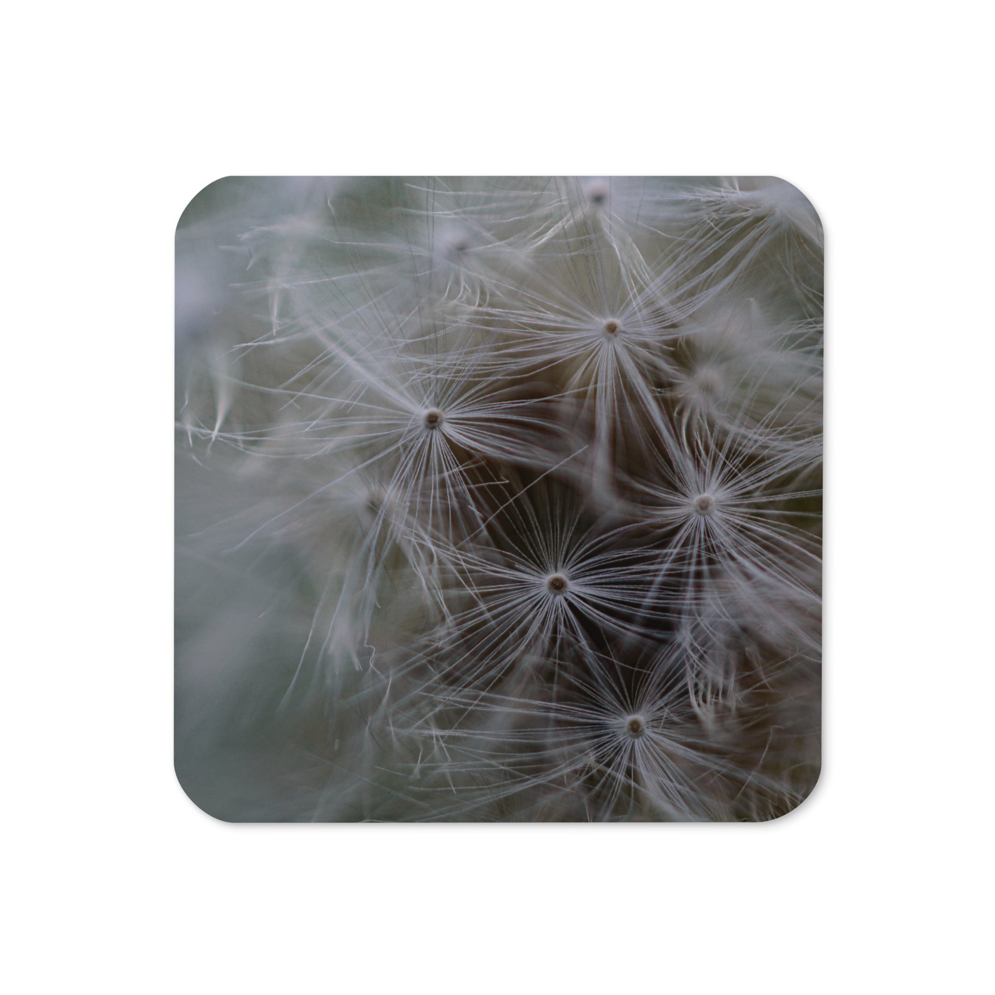 Cork-back coaster - Jackie Ranae Photography