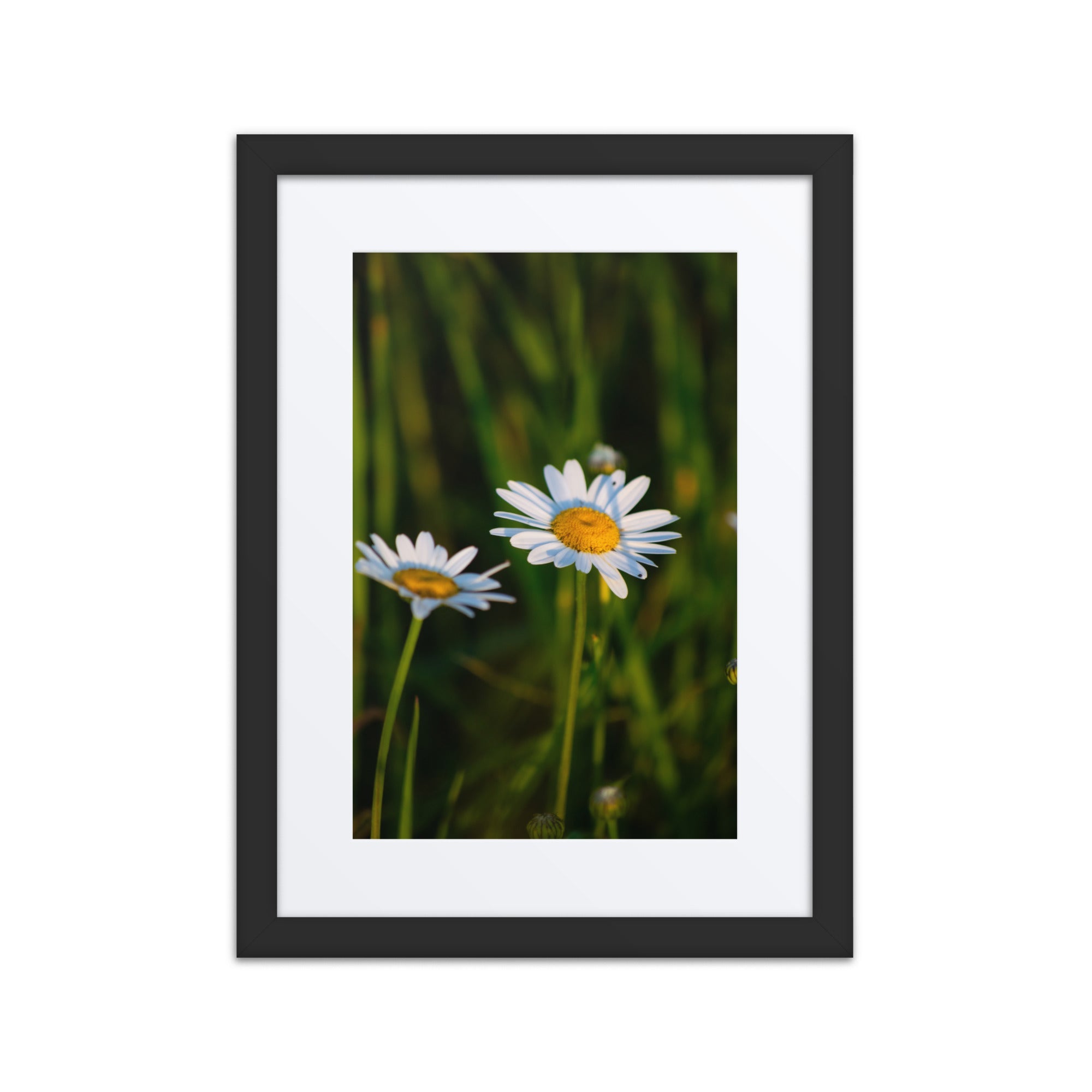 Framed poster - Jackie Ranae Photography