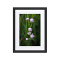 Framed poster - Jackie Ranae Photography