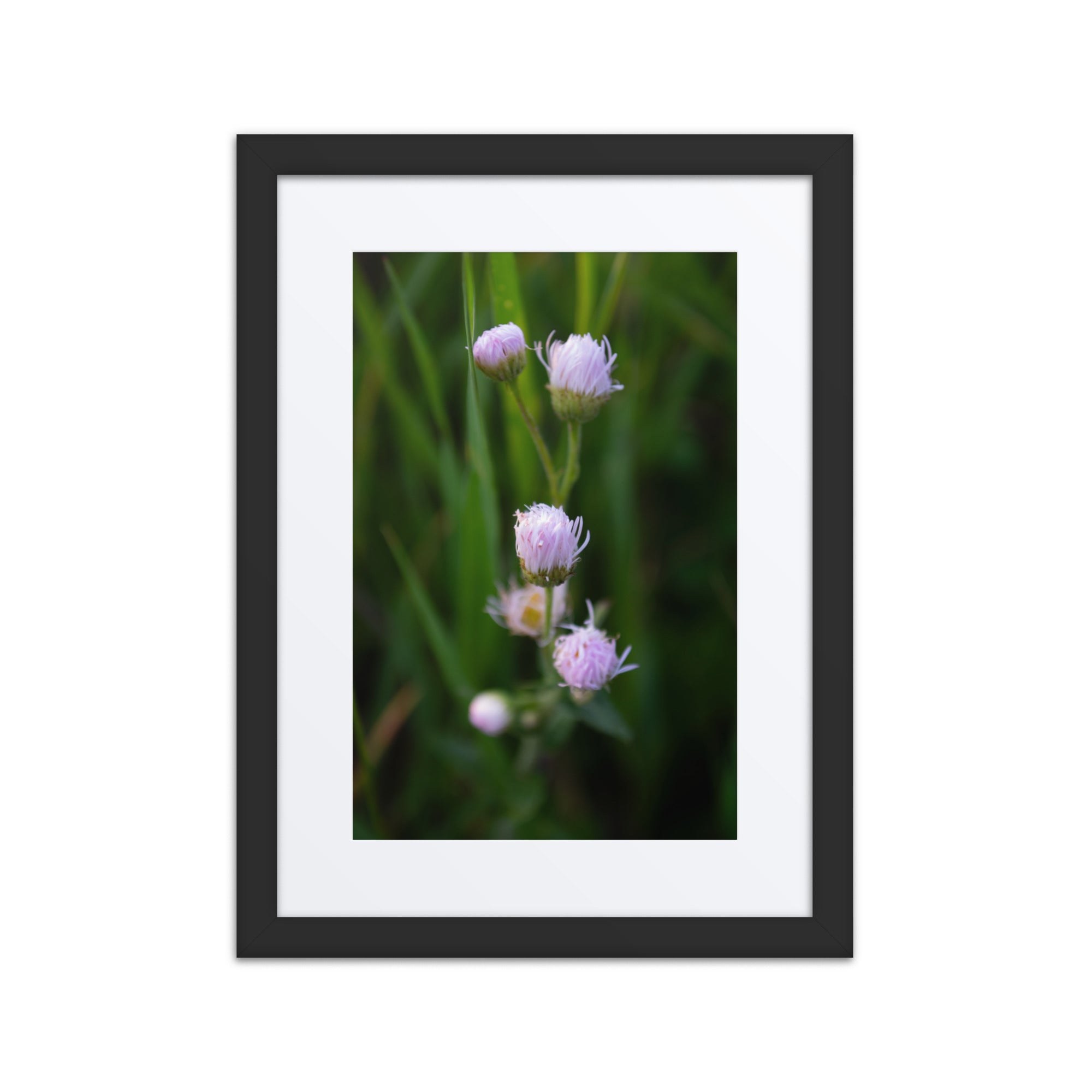 Framed poster - Jackie Ranae Photography