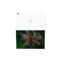 Greeting card - Jackie Ranae Photography