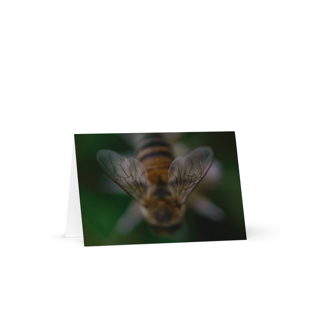 Greeting card - Jackie Ranae Photography