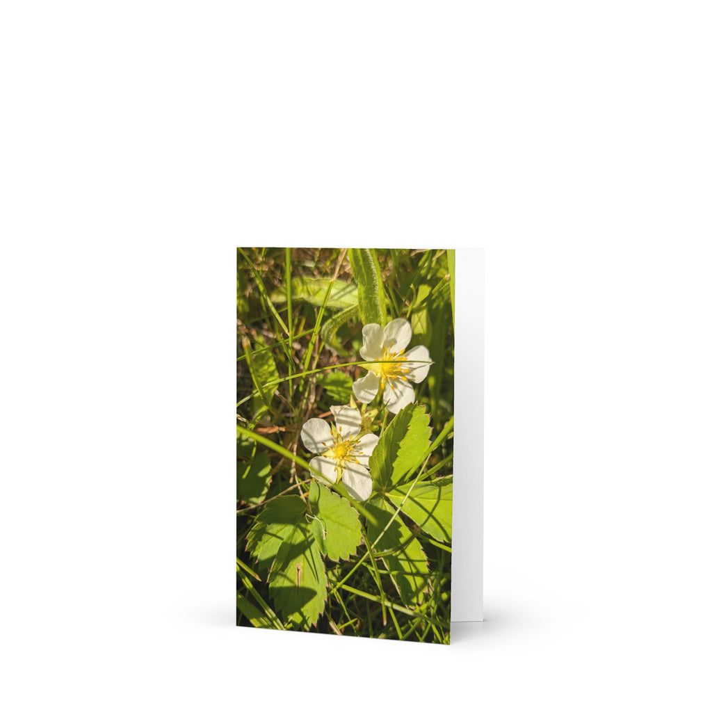 Greeting card - Jackie Ranae Photography