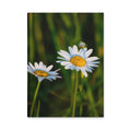 Hardcover journal matte - Jackie Ranae Photography