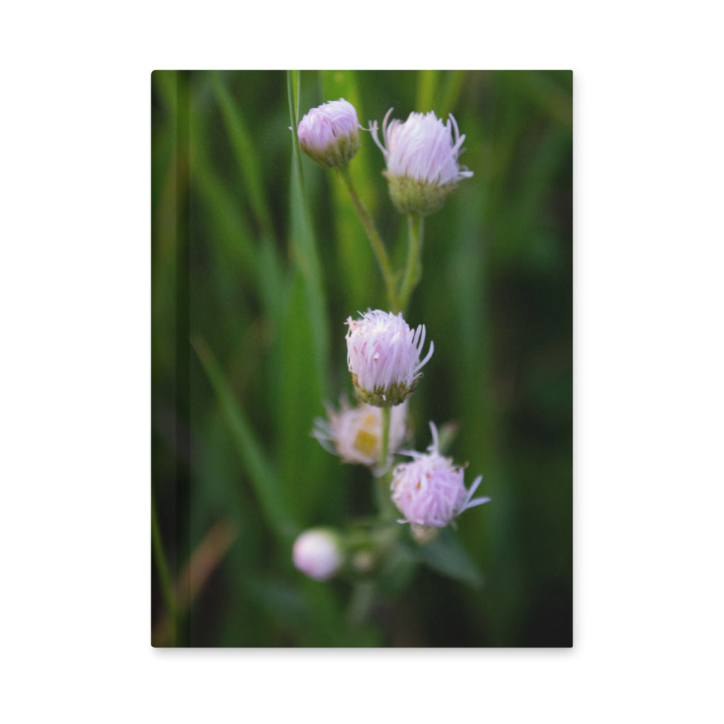 Hardcover journal matte - Jackie Ranae Photography
