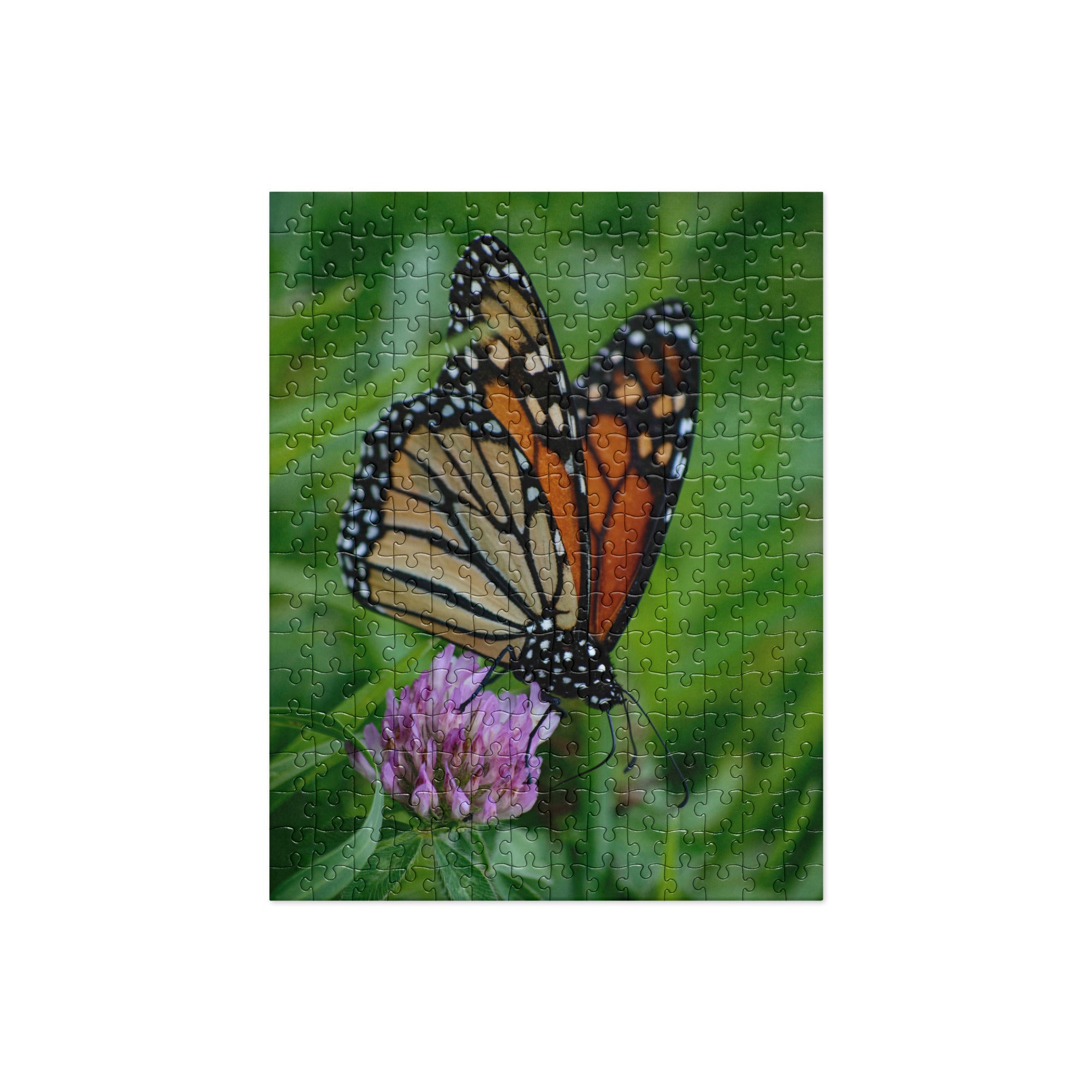 Jigsaw puzzle - Jackie Ranae Photography