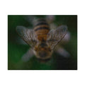 Jigsaw puzzle with tin - Jackie Ranae Photography
