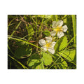 Jigsaw puzzle with tin - Jackie Ranae Photography