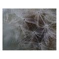 Jigsaw puzzle with tin - Jackie Ranae Photography