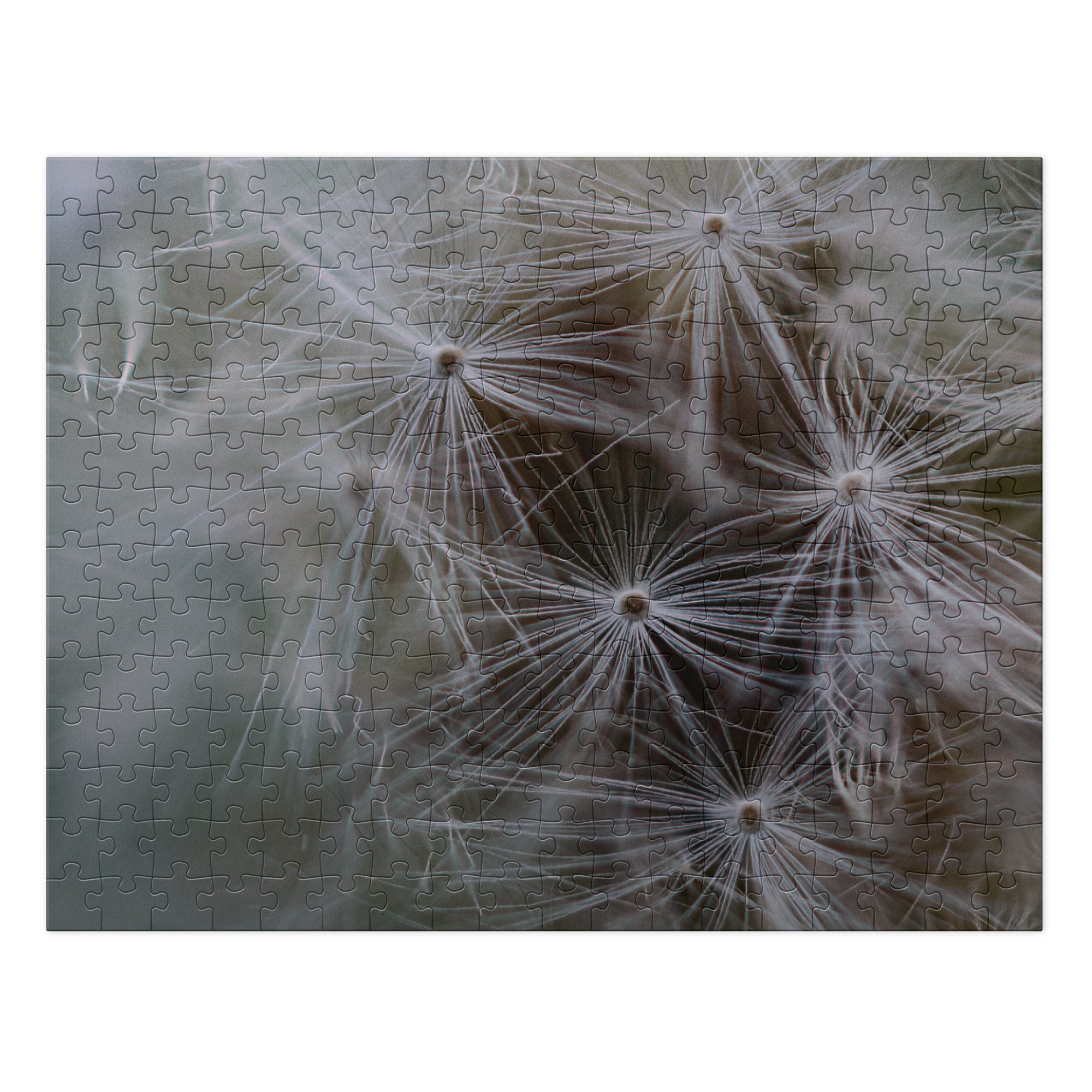 Jigsaw puzzle with tin - Jackie Ranae Photography