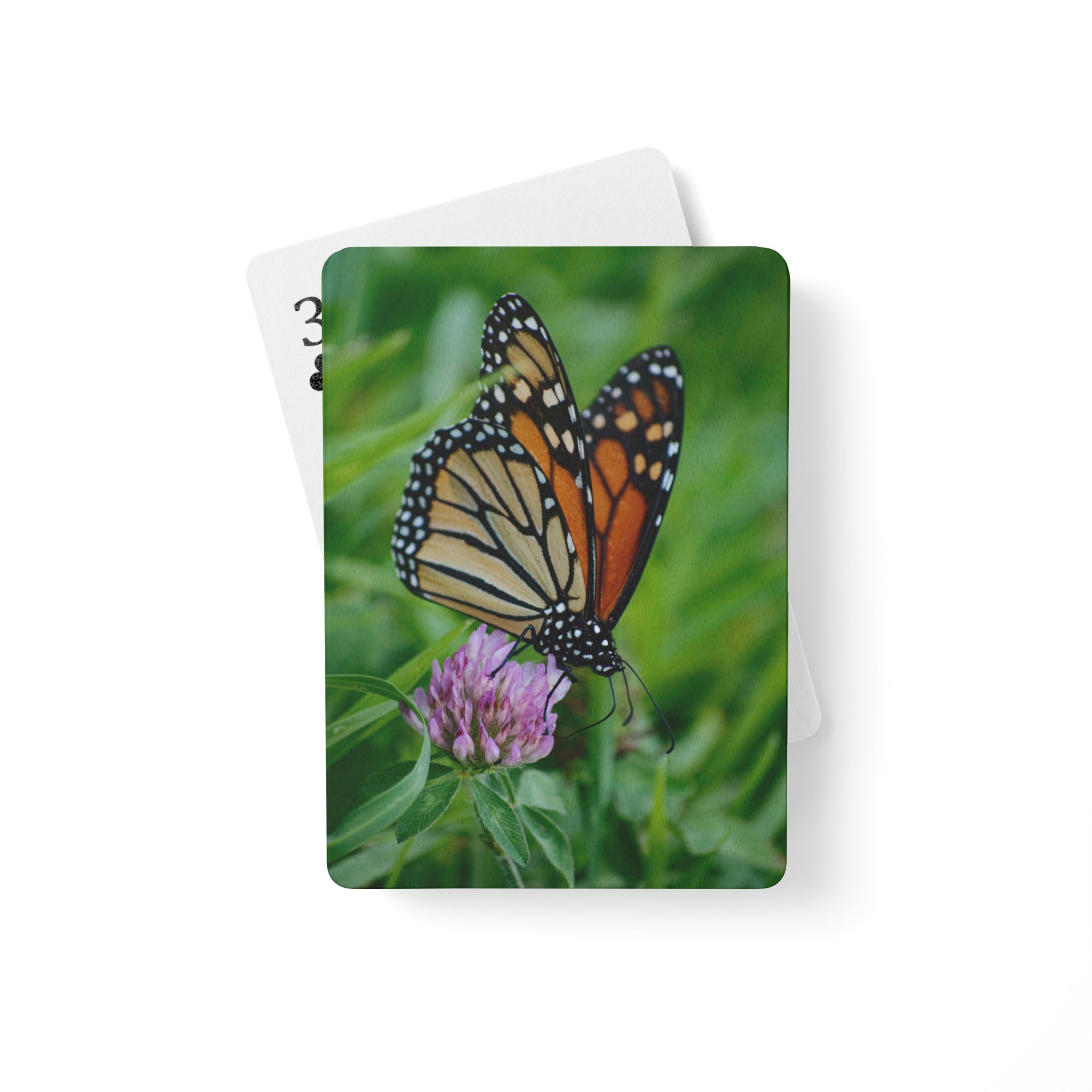 Poker playing cards - Jackie Ranae Photography