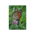 Poker playing cards - Jackie Ranae Photography