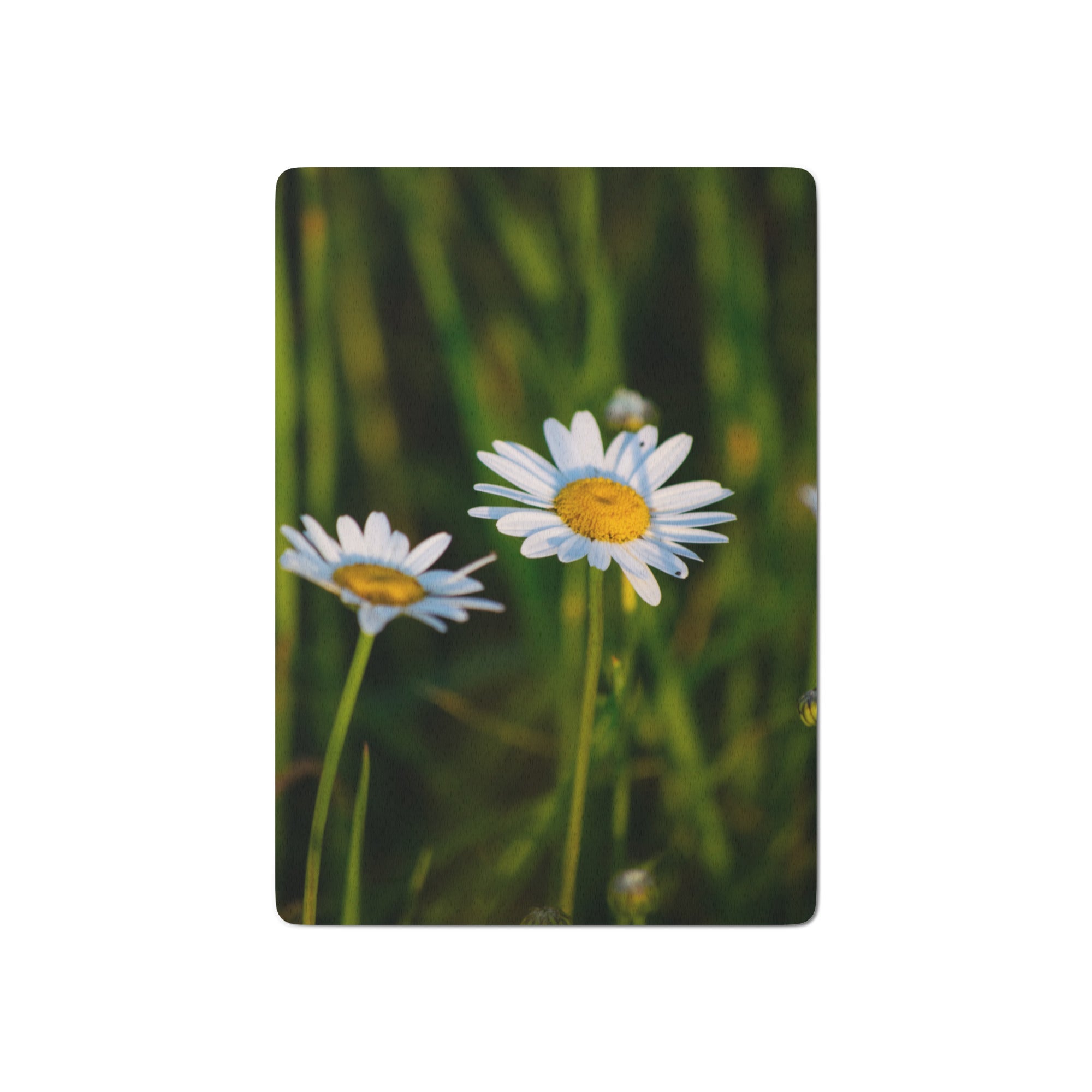 Poker playing cards - Jackie Ranae Photography