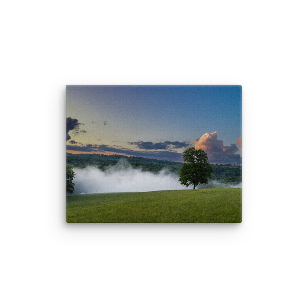 Thin canvas - Jackie Ranae Photography